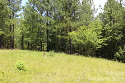 000 John Watson Road, Rutherfordton, NC 28139 - Photo 2
