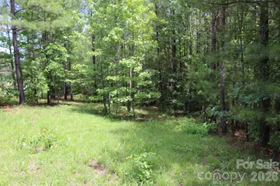 000 John Watson Road, Rutherfordton, NC 28139 - Photo 14