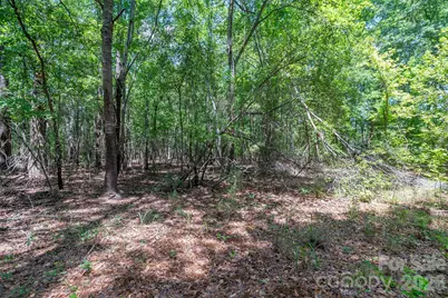 72 Thurman Garage Lane, Jefferson, SC 29718 - Photo 10