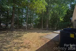 6408 Spanish Moss Ln, Charlotte, NC 28262 - Photo 18