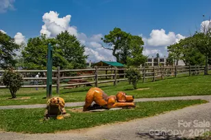 301 Pinnacle Inn Rd, Beech Mountain, NC 28604 - Photo 42