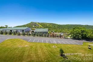 301 Pinnacle Inn Rd, Beech Mountain, NC 28604 - Photo 24
