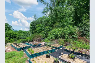 46 Perennial Ridge, Weaverville, NC 28787 - Photo 28