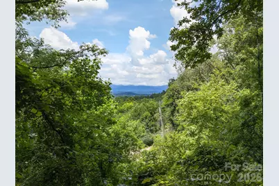46 Perennial Ridge, Weaverville, NC 28787 - Photo 34