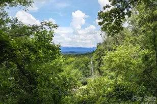 46 Perennial Rdg, Weaverville, NC 28787 - Photo 34