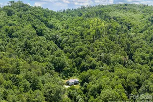 46 Perennial Rdg, Weaverville, NC 28787 - Photo 40