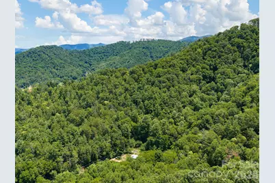 46 Perennial Ridge, Weaverville, NC 28787 - Photo 44