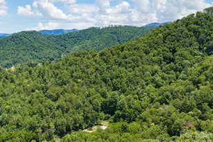 46 Perennial Rdg, Weaverville, NC 28787 - Photo 44