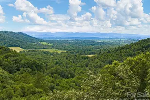 46 Perennial Rdg, Weaverville, NC 28787 - Photo 38