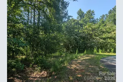 120 Scenic Ridge Drive #36, Mooresboro, NC 28114 - Photo 8