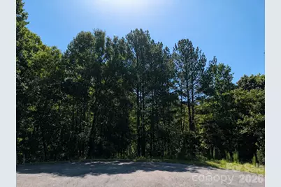 120 Scenic Ridge Drive #36, Mooresboro, NC 28114 - Photo 2