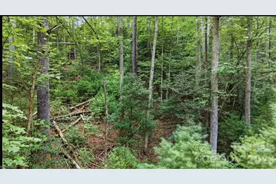 11526 US Highway 421 None, Purlear, NC 28665 - Photo 40