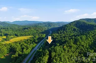 11526 US Hwy 421 None, Purlear, NC 28665 - Photo 4