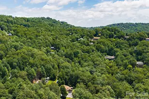 19 Loggers Run, Hendersonville, NC 28739 - Photo 22