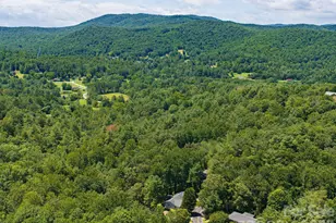 19 Loggers Run, Hendersonville, NC 28739 - Photo 24