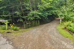 1390 Baltimore Branch Rd, Hot Springs, NC 28743 - Photo 48