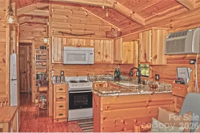 1390 Baltimore Branch Road, Hot Springs, NC 28743 - Photo 42