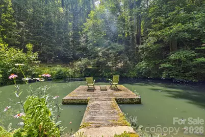 1390 Baltimore Branch Road, Hot Springs, NC 28743 - Photo 36