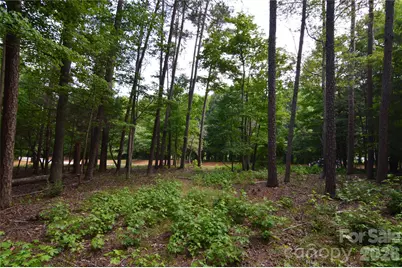 8013 Water View Drive #4, Belmont, NC 28012 - Photo 6