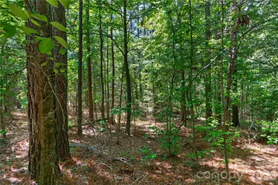 000 Blanton Road #2, Sharon, SC 29742 - Photo 24
