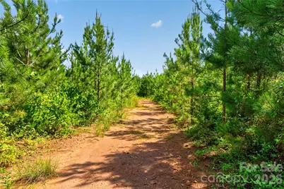 000 Blanton Road #2, Sharon, SC 29742 - Photo 40