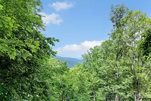 3214 Big Laurel Rd, Waynesville, NC 28785 - Photo 20