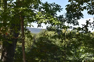120 Woodmont Dr, Nebo, NC 28761 - Photo 36