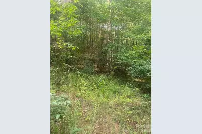 - Red Yam Farm Road, Dallas, NC 28034 - Photo 4