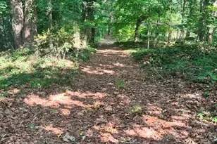 - Red Yam Farm Rd, Dallas, NC 28034 - Photo 1