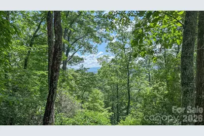 Tbd Stone Drive #L40, Brevard, NC 28712 - Photo 1