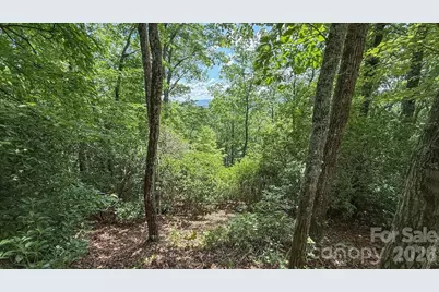 Tbd Stone Drive #L40, Brevard, NC 28712 - Photo 12