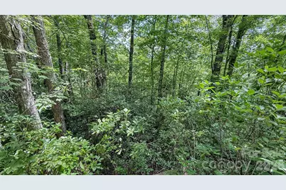 Tbd Stone Drive #L40, Brevard, NC 28712 - Photo 10