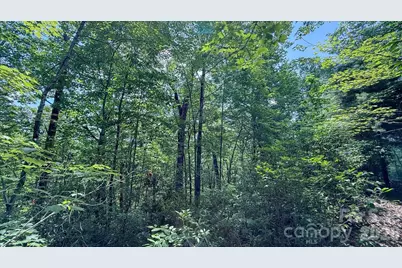 Tbd Stone Drive #L40, Brevard, NC 28712 - Photo 8