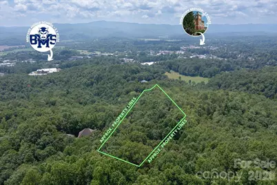 Tbd Stone Drive #L40, Brevard, NC 28712 - Photo 6
