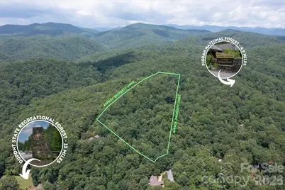 Tbd Stone Drive #L40, Brevard, NC 28712 - Photo 4