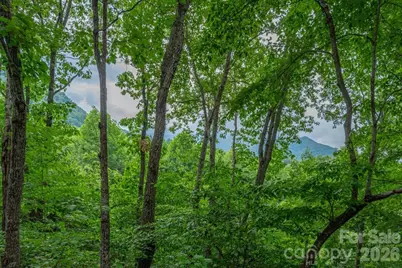 30 Rhododendron Drive, Waynesville, NC 28786 - Photo 2