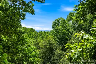 518 Starmount Ln, Hendersonville, NC 28791 - Photo 6