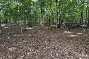 556 Gilbert Rd, Columbus, NC 28722 - Photo 8