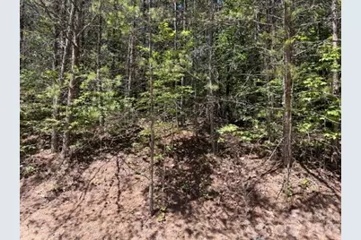 00 Sundance Drive #5-IV, Nebo, NC 28761 - Photo 4