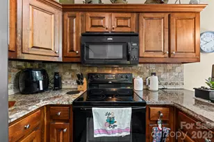 315 Honey Locust Ln, Whittier, NC 28789 - Photo 10
