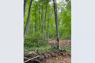 533 Enchanted Forest Drive, Sylva, NC 28779 - Photo 12