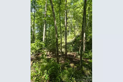 533 Enchanted Forest Drive, Sylva, NC 28779 - Photo 2