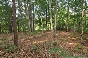 1236 Smithfield Dr, Hudson, NC 28638 - Photo 1