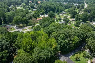 704 4th St SW, Conover, NC 28613 - Photo 28