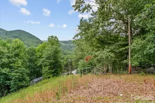 198 Florida Hill Dr, Green Mountain, NC 28740 - Photo 10