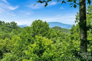 1625 Ugugu Dr, Brevard, NC 28712 - Photo 24