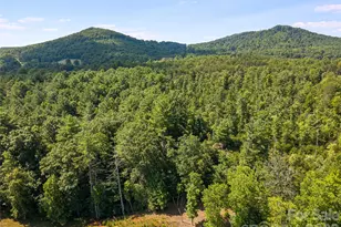 0 Burns Rd, Granite Falls, NC 28630 - Photo 30