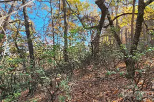 Lot 22 A Pinnacle Pkwy, Union Mills, NC 28167 - Photo 1