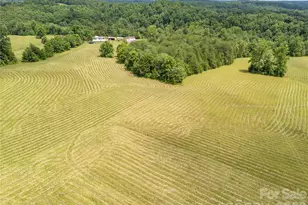 717 Frog Creek Rd, Union Mills, NC 28167 - Photo 6