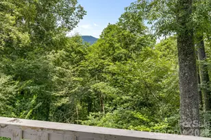 38 Bee Tree Ln, Mars Hill, NC 28754 - Photo 28